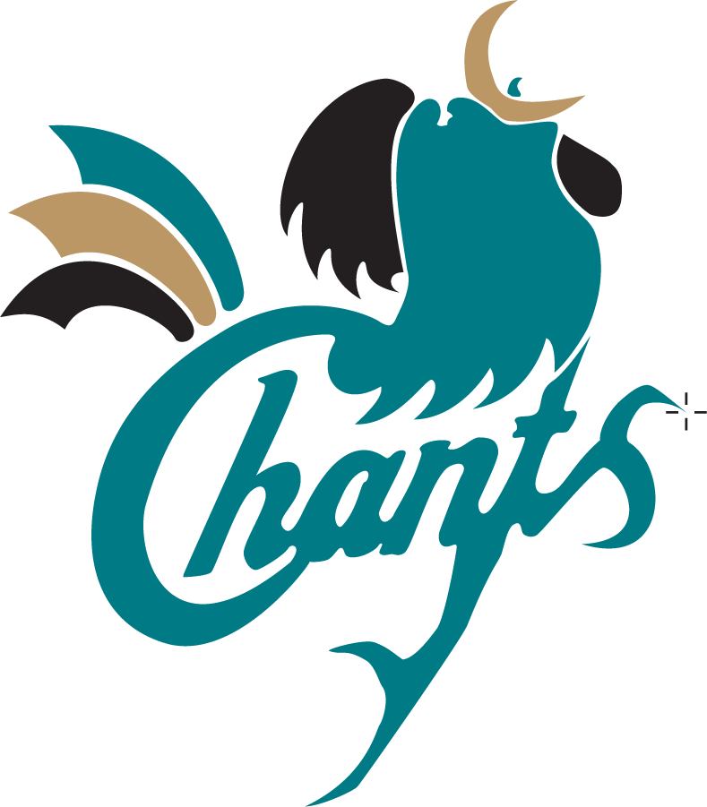 Coastal Carolina Chanticleers 1995-2002 Primary Logo DIY iron on transfer (heat transfer)